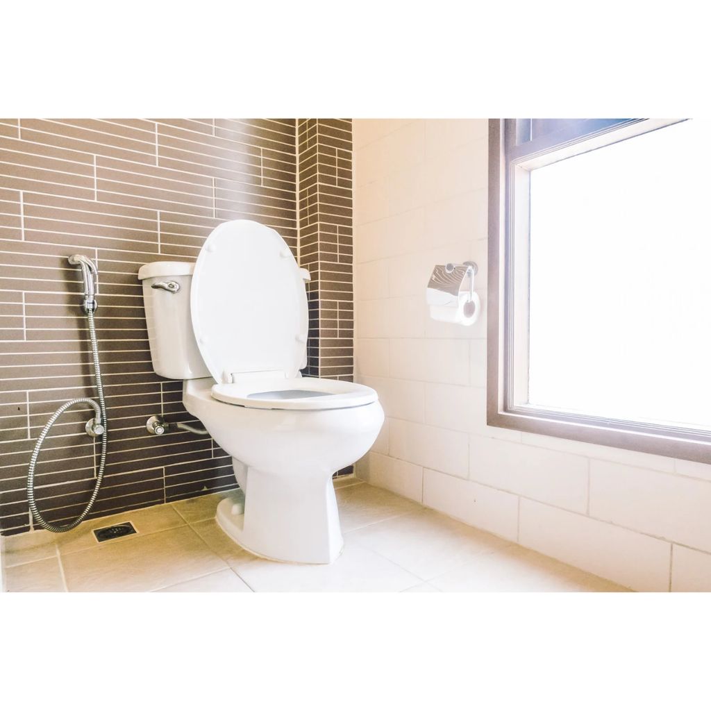 Toilet replacement 