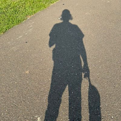 Avatar for Meneses Services