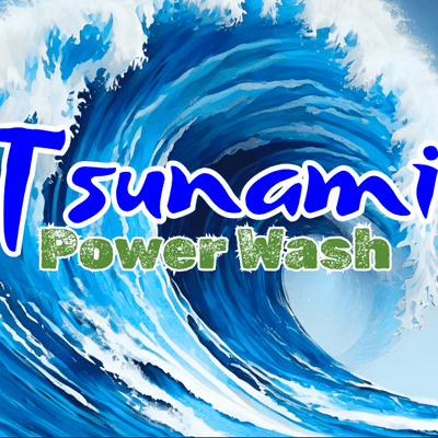 Avatar for Tsunami Power Wash