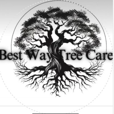 Avatar for Best way tree care