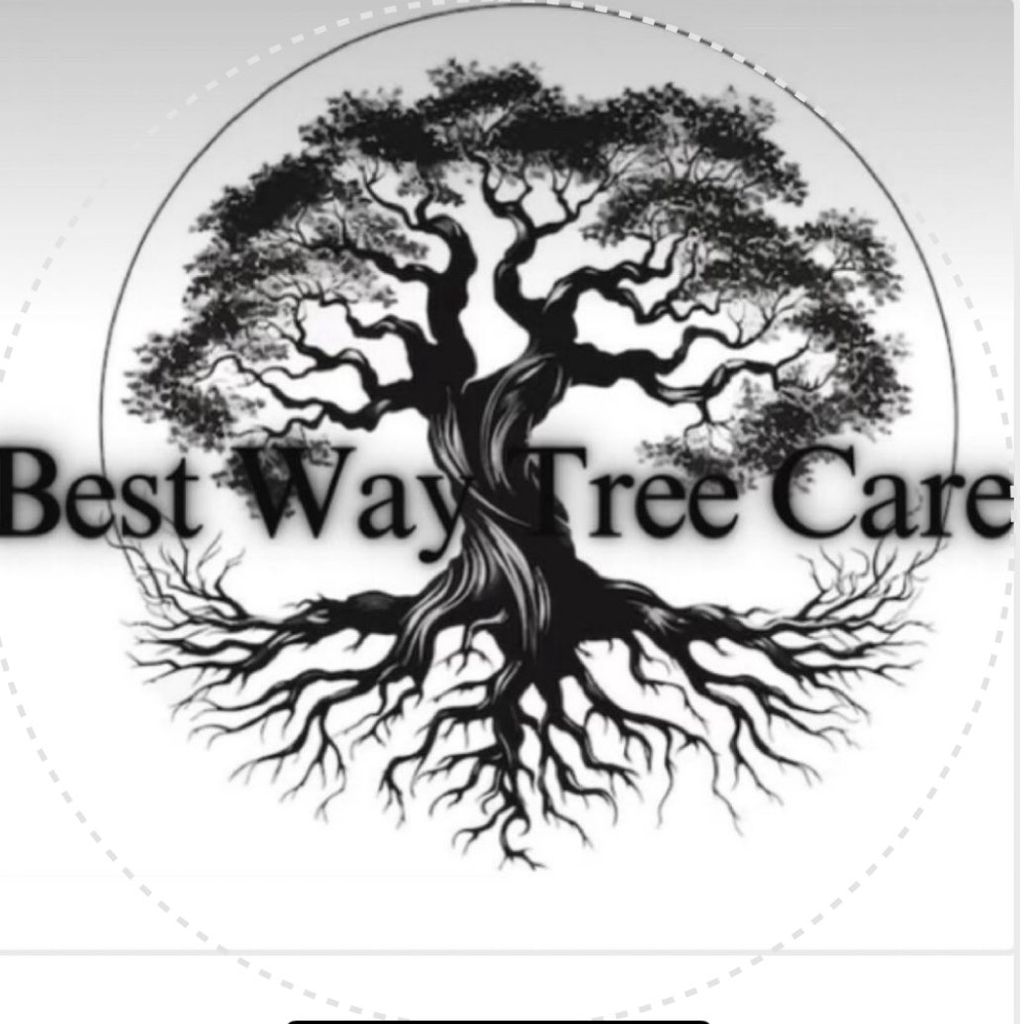 Best way tree care