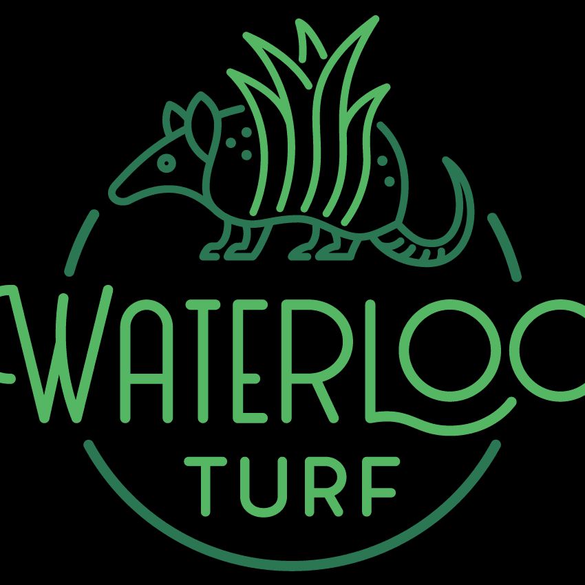 Waterloo Turf Austin