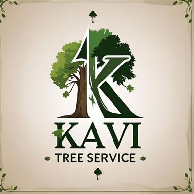 Avatar for Kavi Tree Service