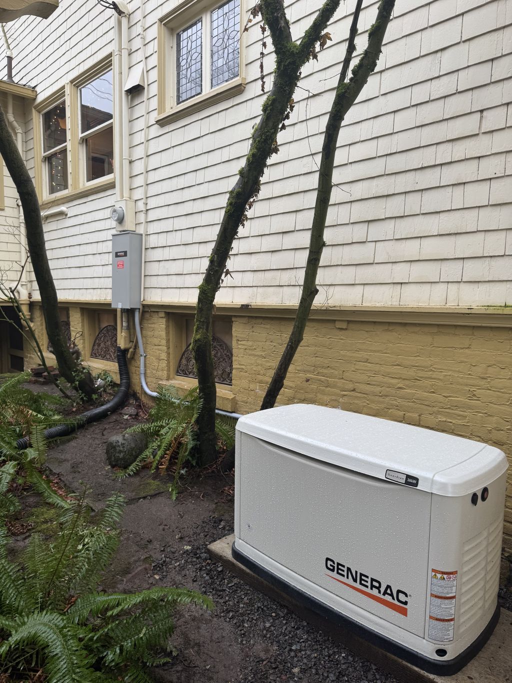 Generator for a whole house with automatic transfe