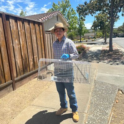 Avatar for Cisneros Rodent Control