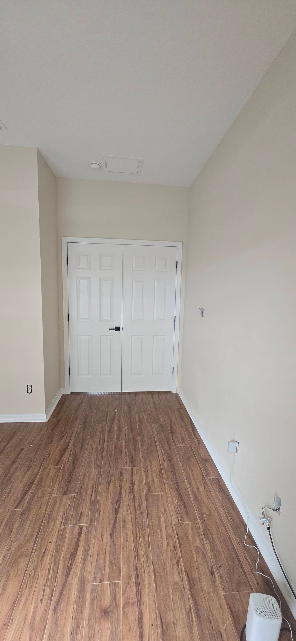 painted door wall  trim baseboards 