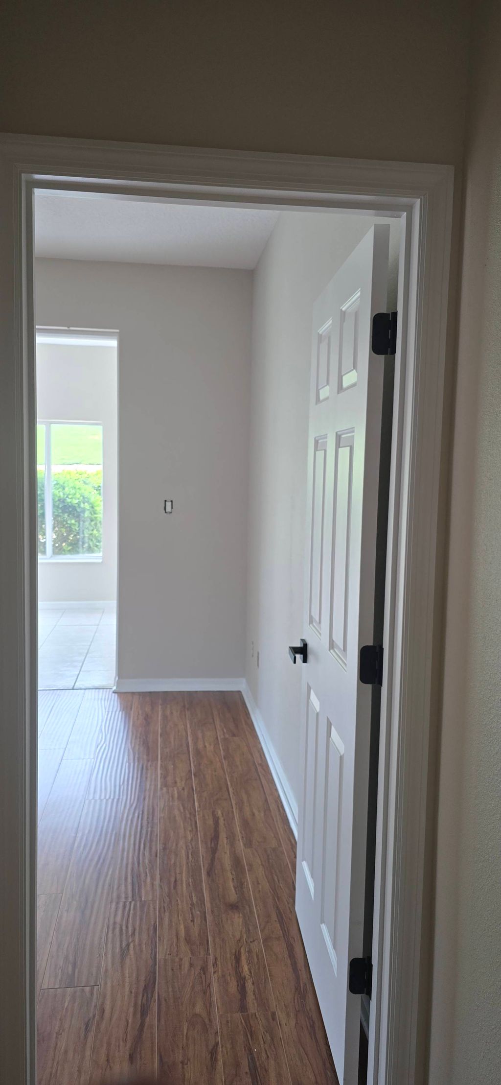 painted walls ceilings and doors and baseboards