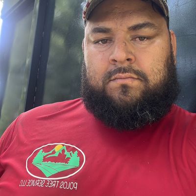 Avatar for POLOS TREE SERVICE LLC