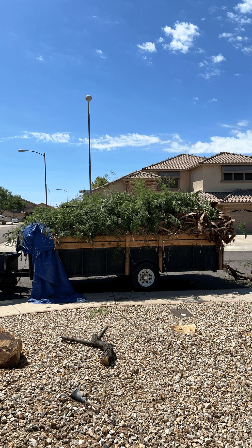 Full trailer of tree trimmings removed!