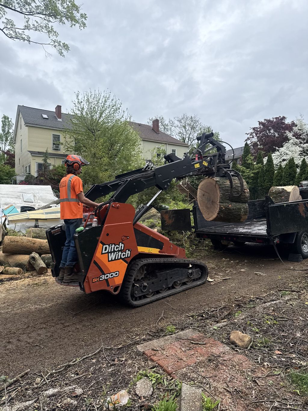 Loading logs
