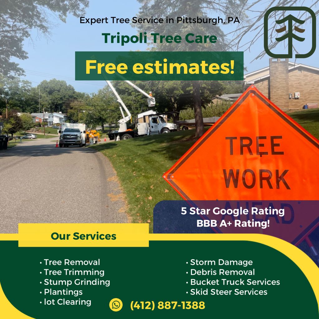 Our services