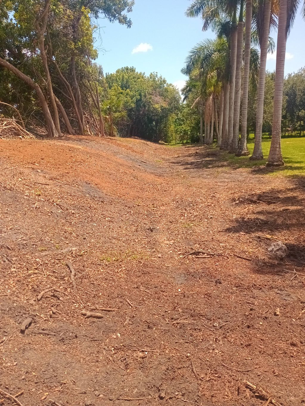 stump grinder and land preparation