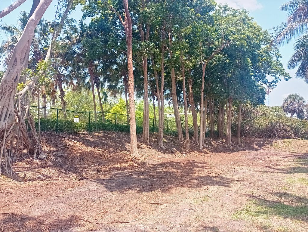 after land clearing