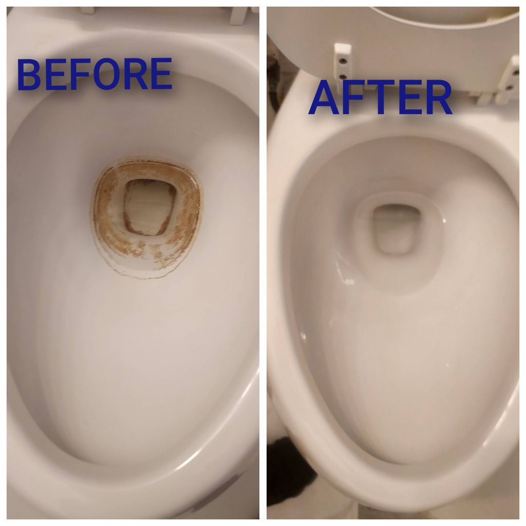 Toilet Bowl Renewal!