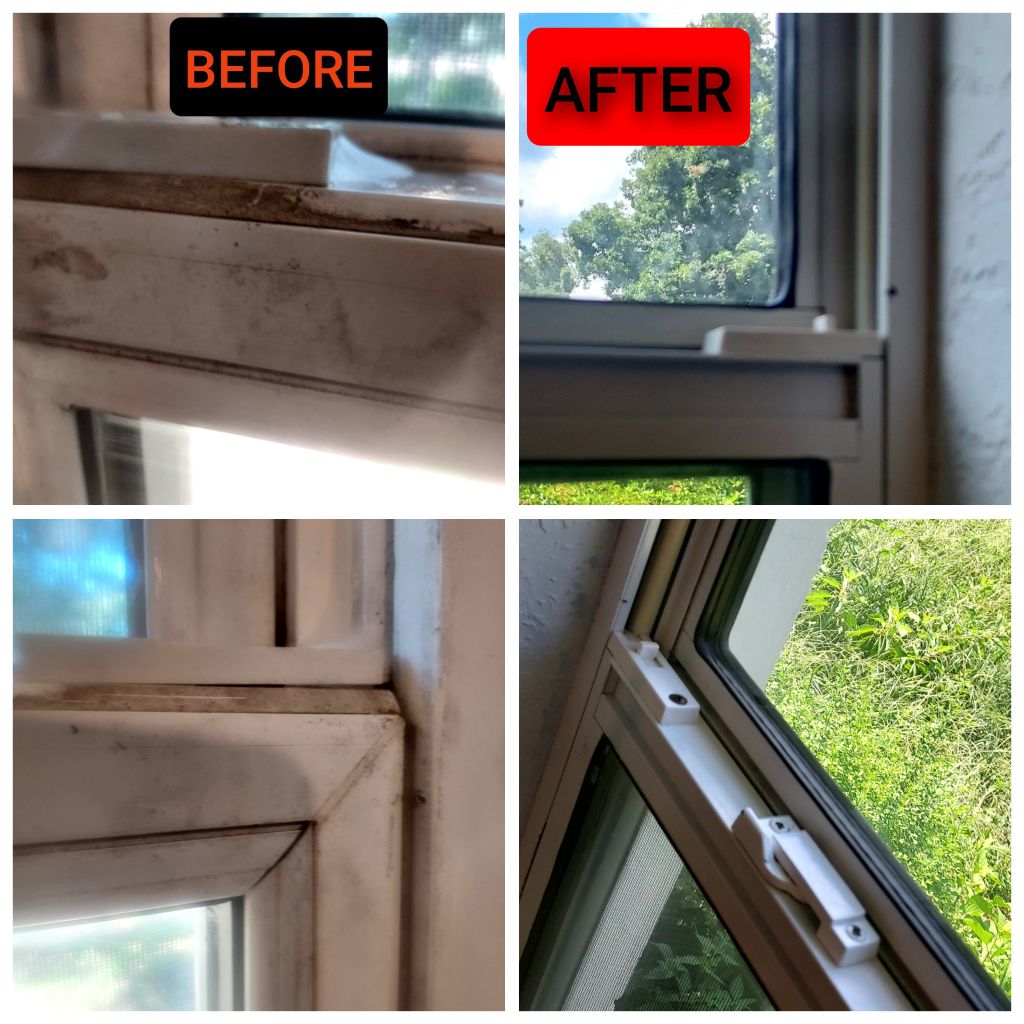 DETAILED Windowseal Cleaning!