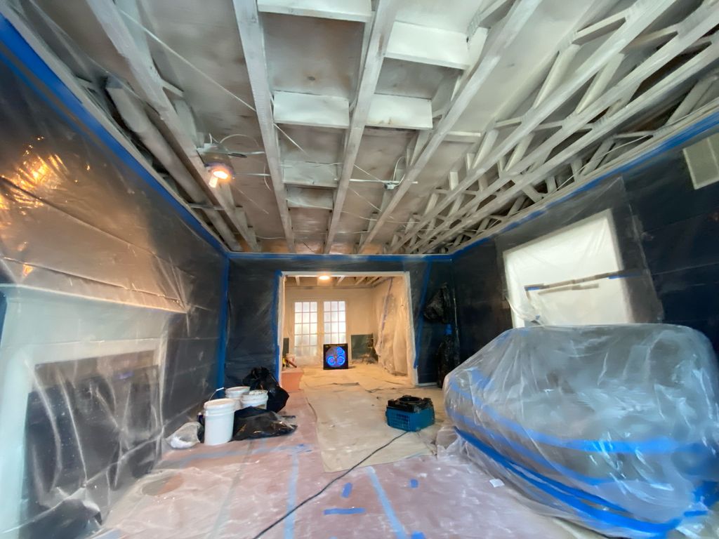 Mold Remediation/Removal