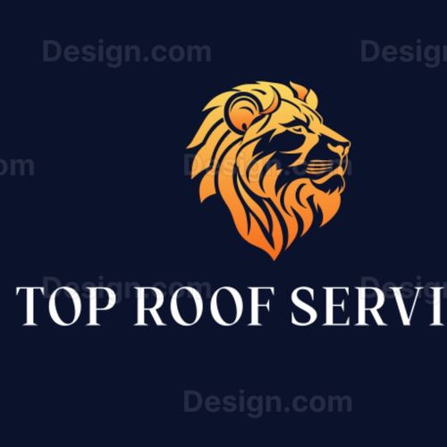 Top Roof Service Profile Picture
