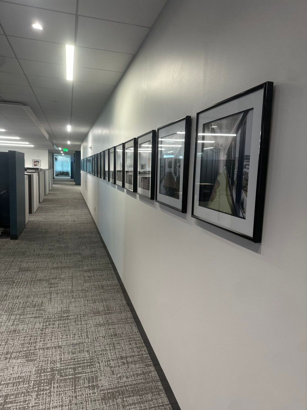Projects and media
