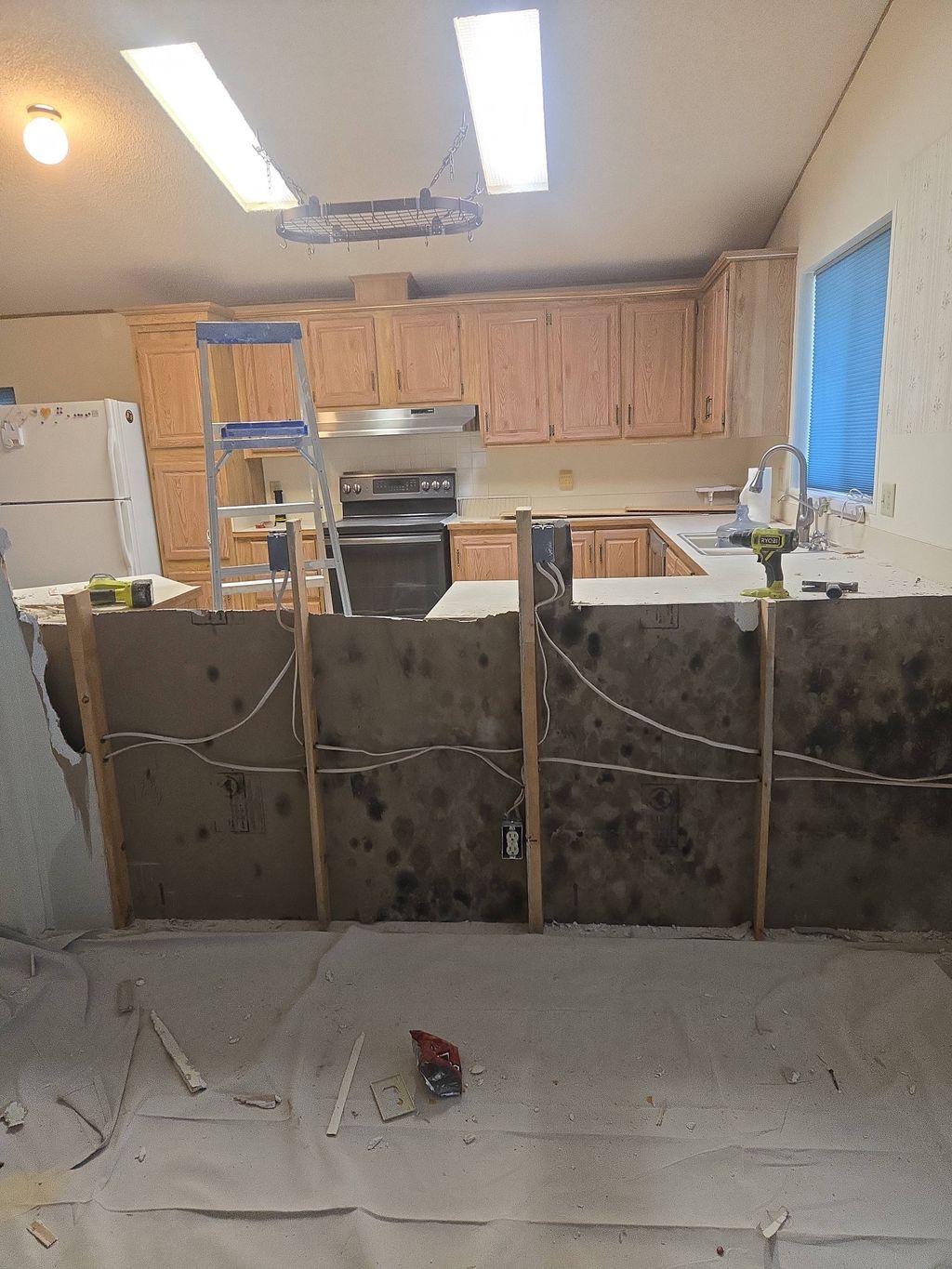 fully certified for mold removal and mitigation. 