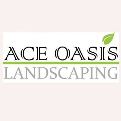 Avatar for Ace Oasis