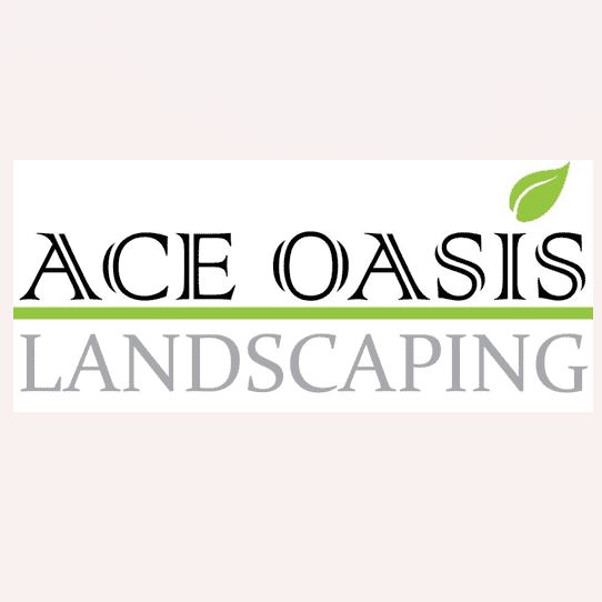 Ace Oasis