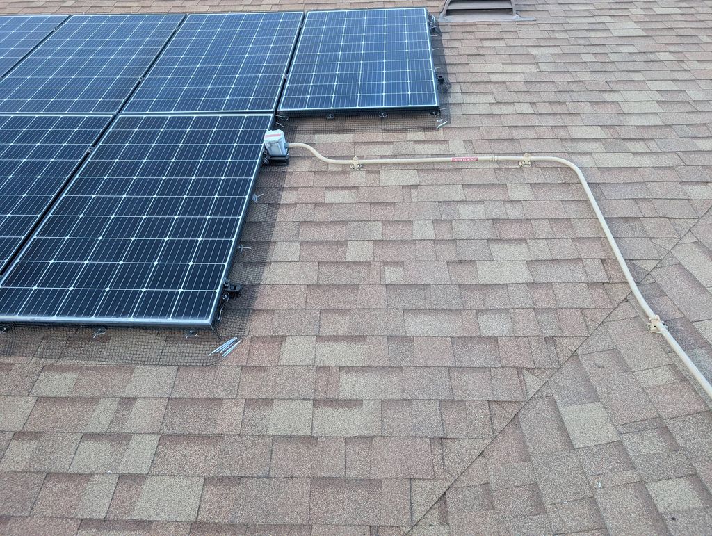 Bird Proofing 