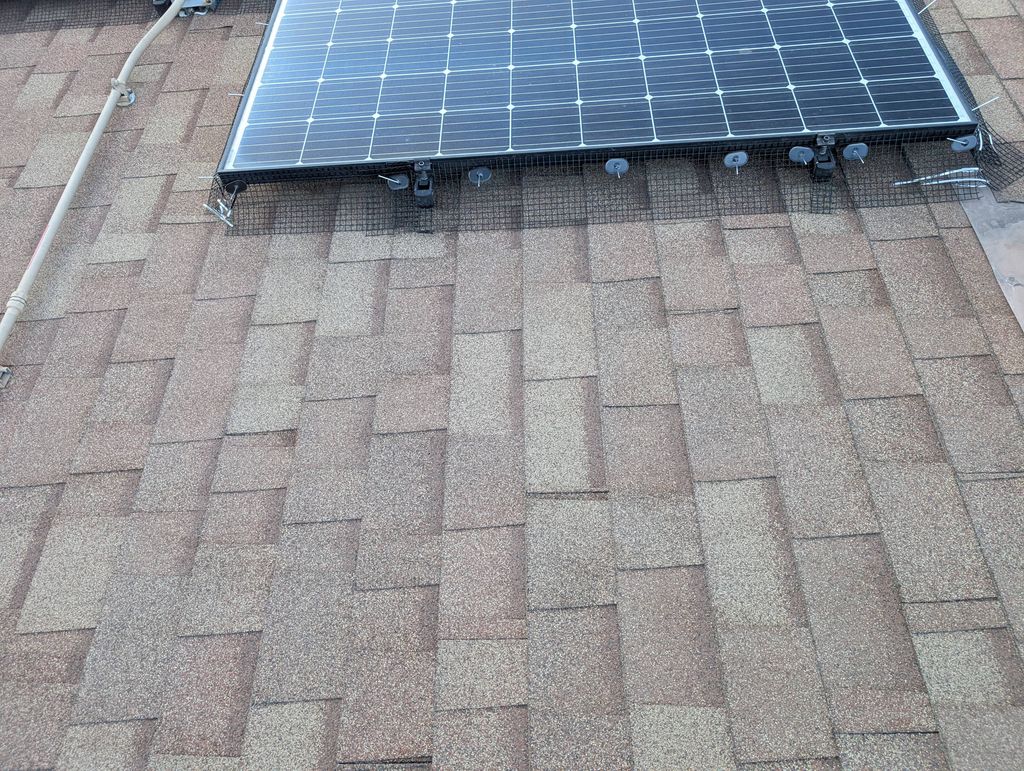 Bird Proofing 