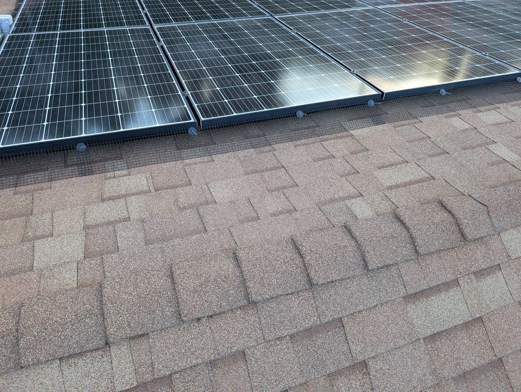 Bird Proofing 