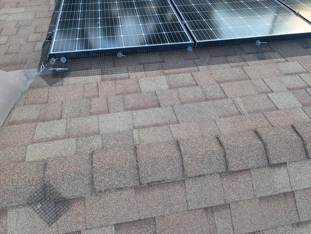 Bird Proofing 