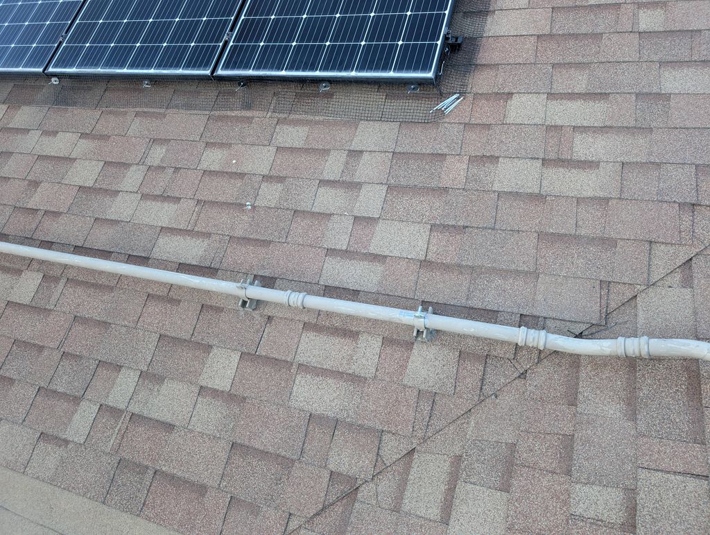 Bird Proofing 