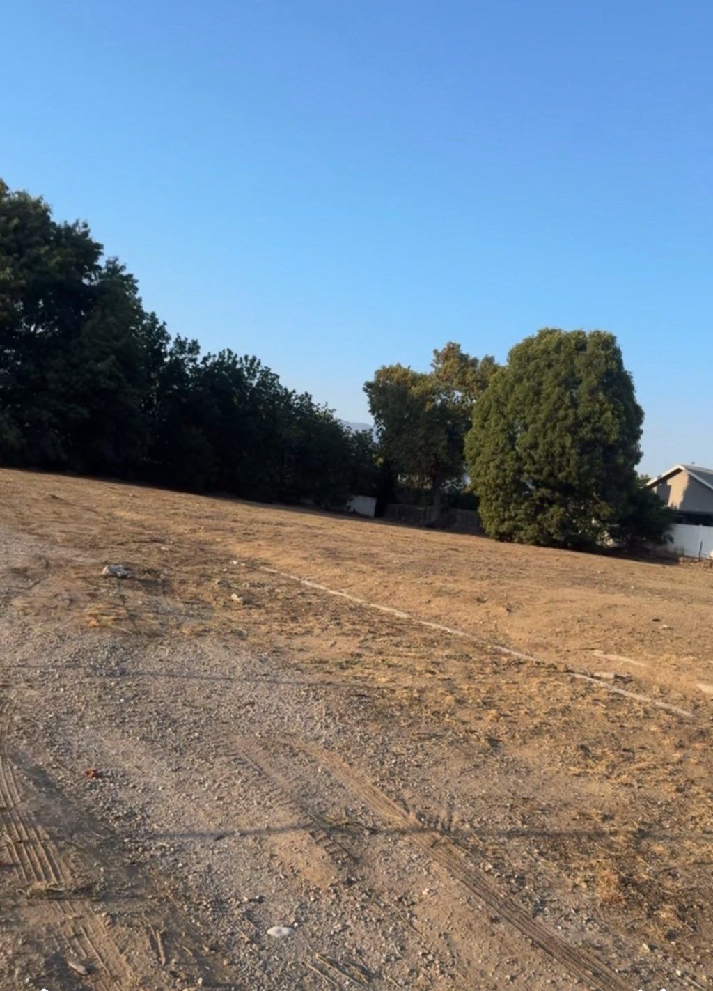Weed Lot clearing 