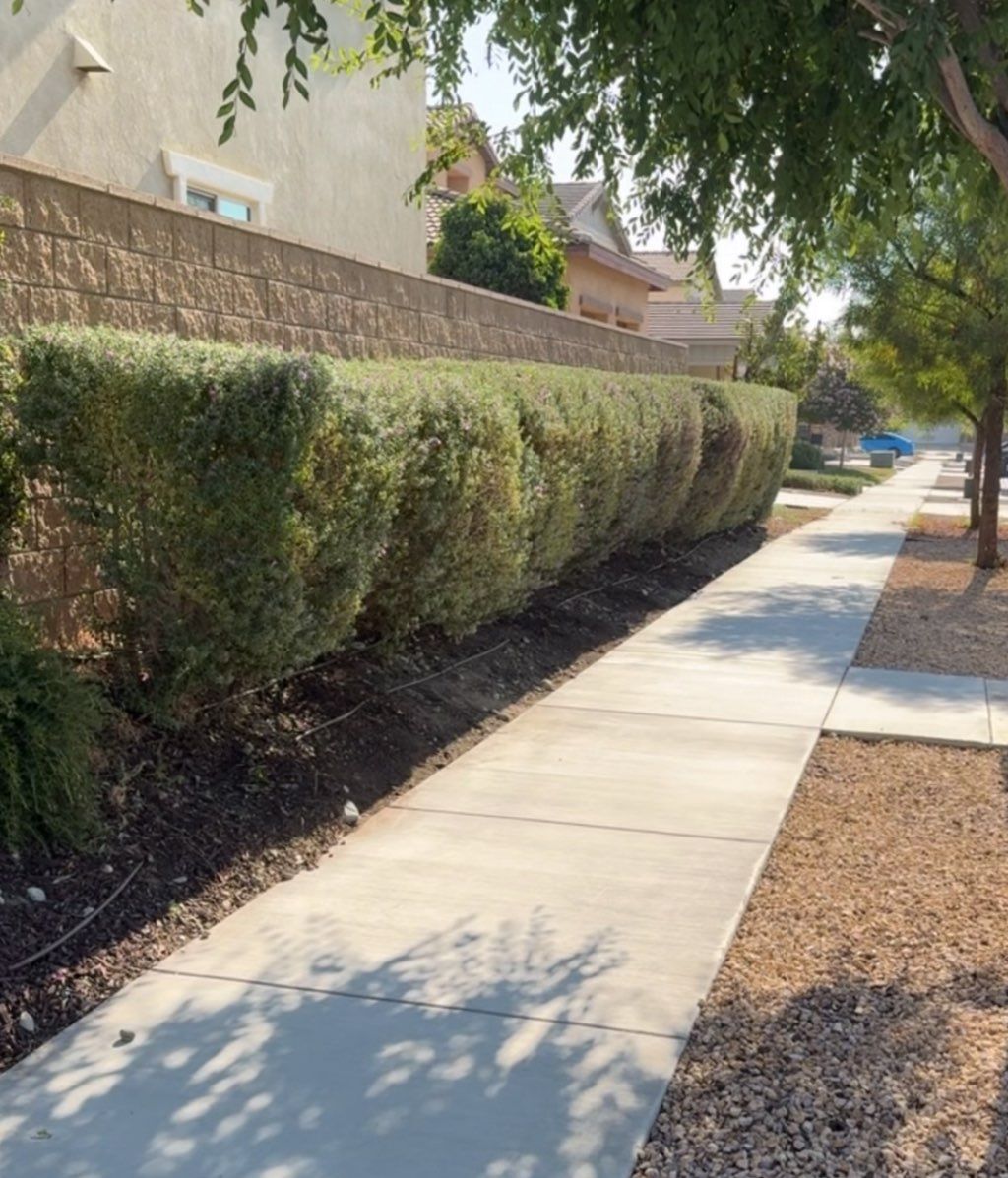 Bush trimming 