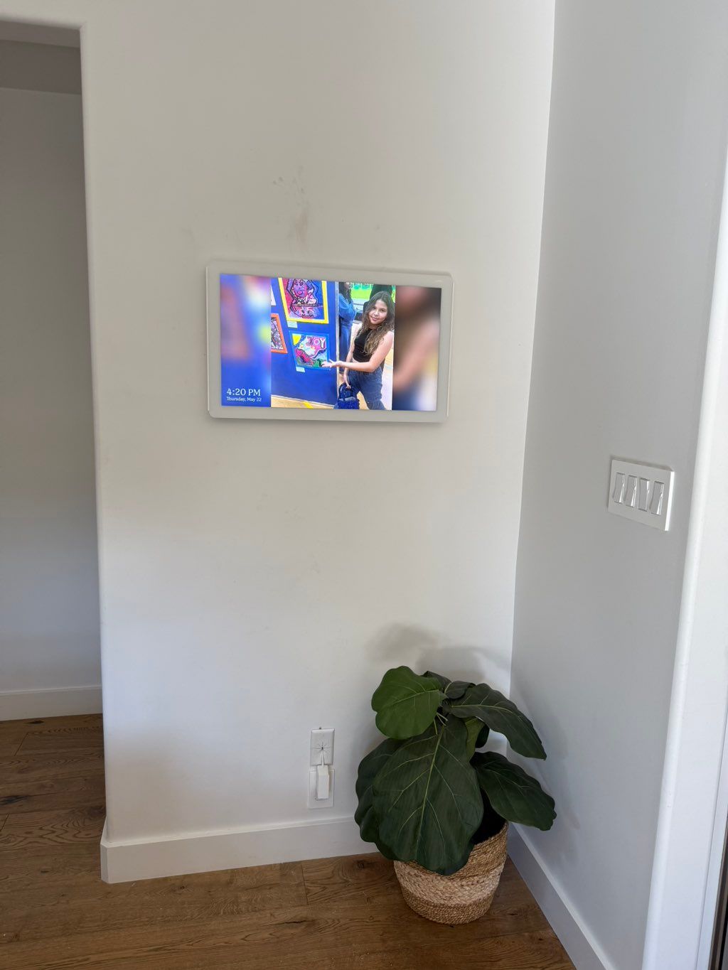 Projects and media