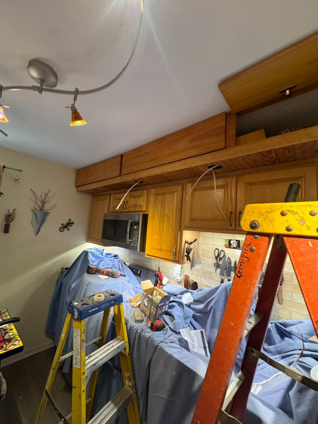 Projects and media