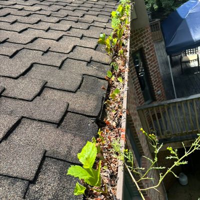Avatar for Gutter repair