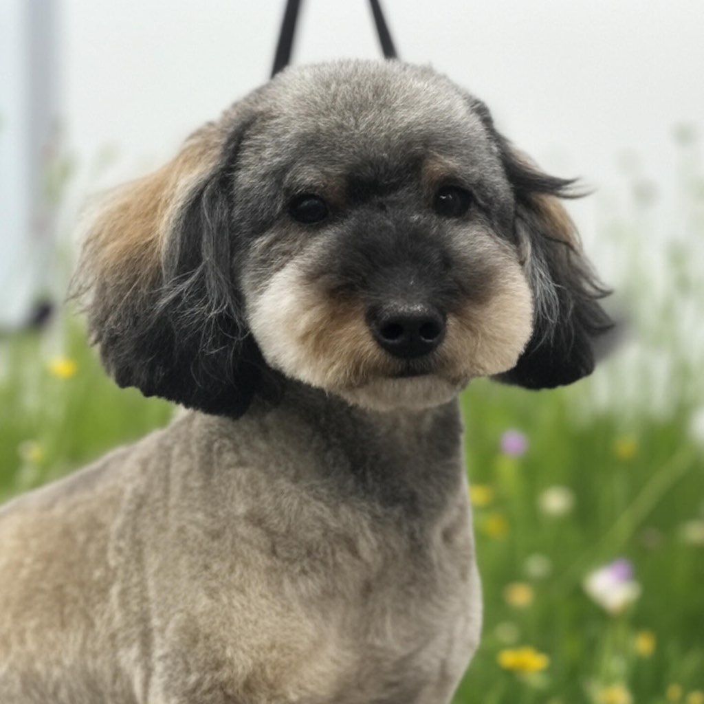 The mindful groom