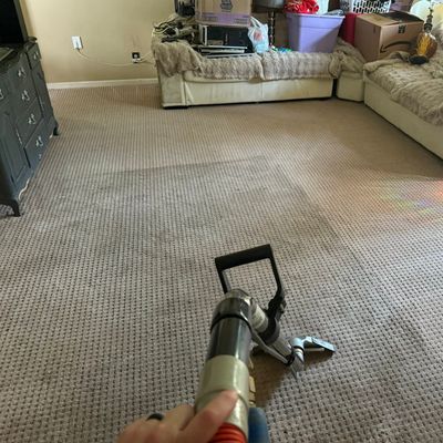 Avatar for Alfa pro carpets cleaning