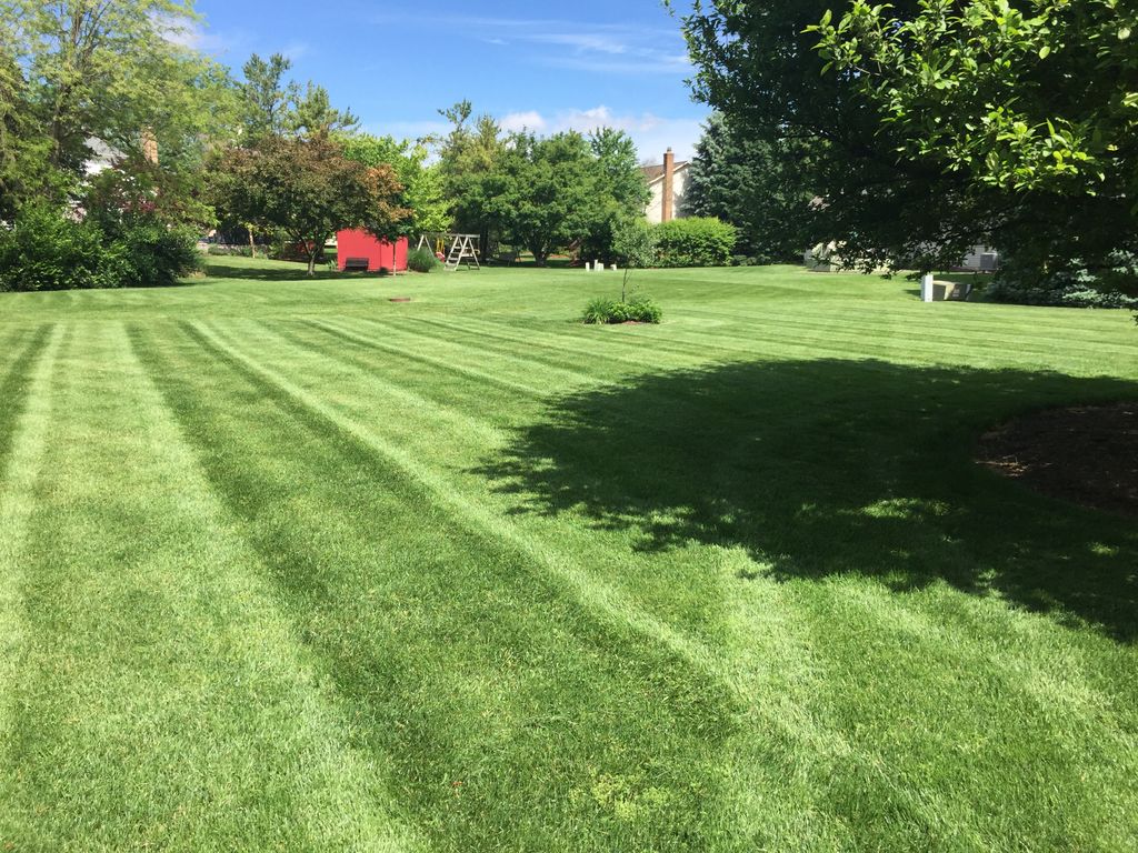 Professional lawn care- 52" commercial zero turn m