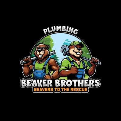 Avatar for Beaver Brothers Plumbing