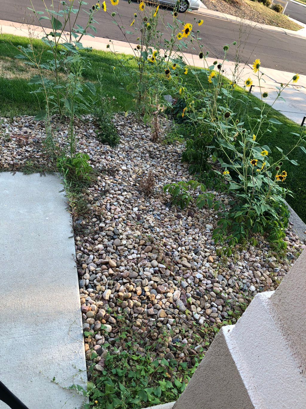 Customer photos