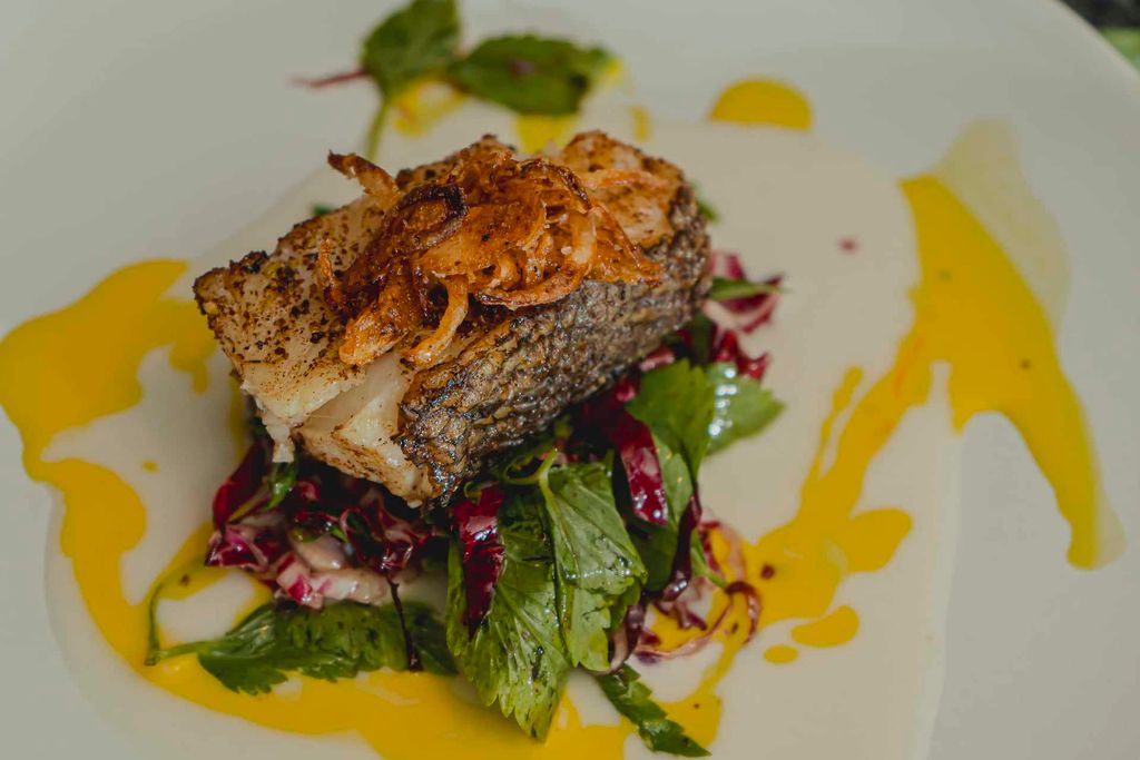 Sea Bass 