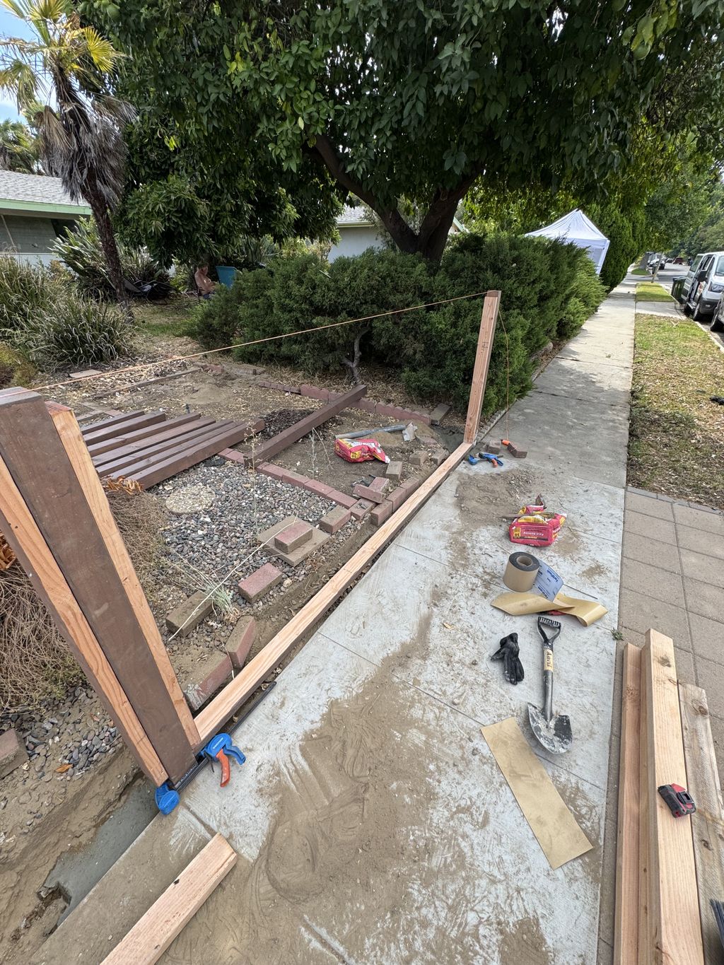 Projects and media