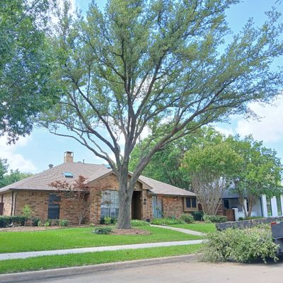 Avatar for Ramos Tree Service