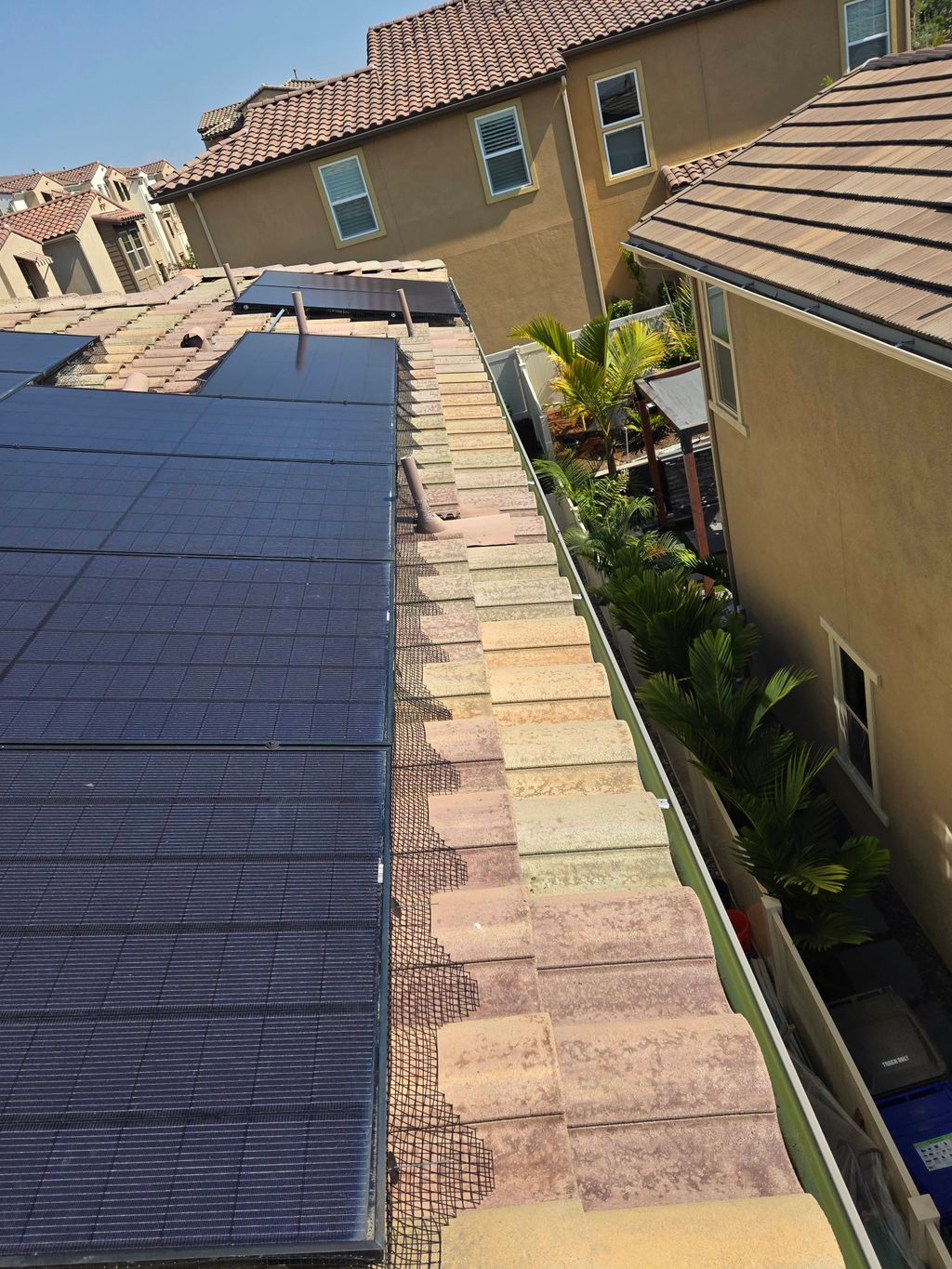 Bird Proofing in Corona, CA