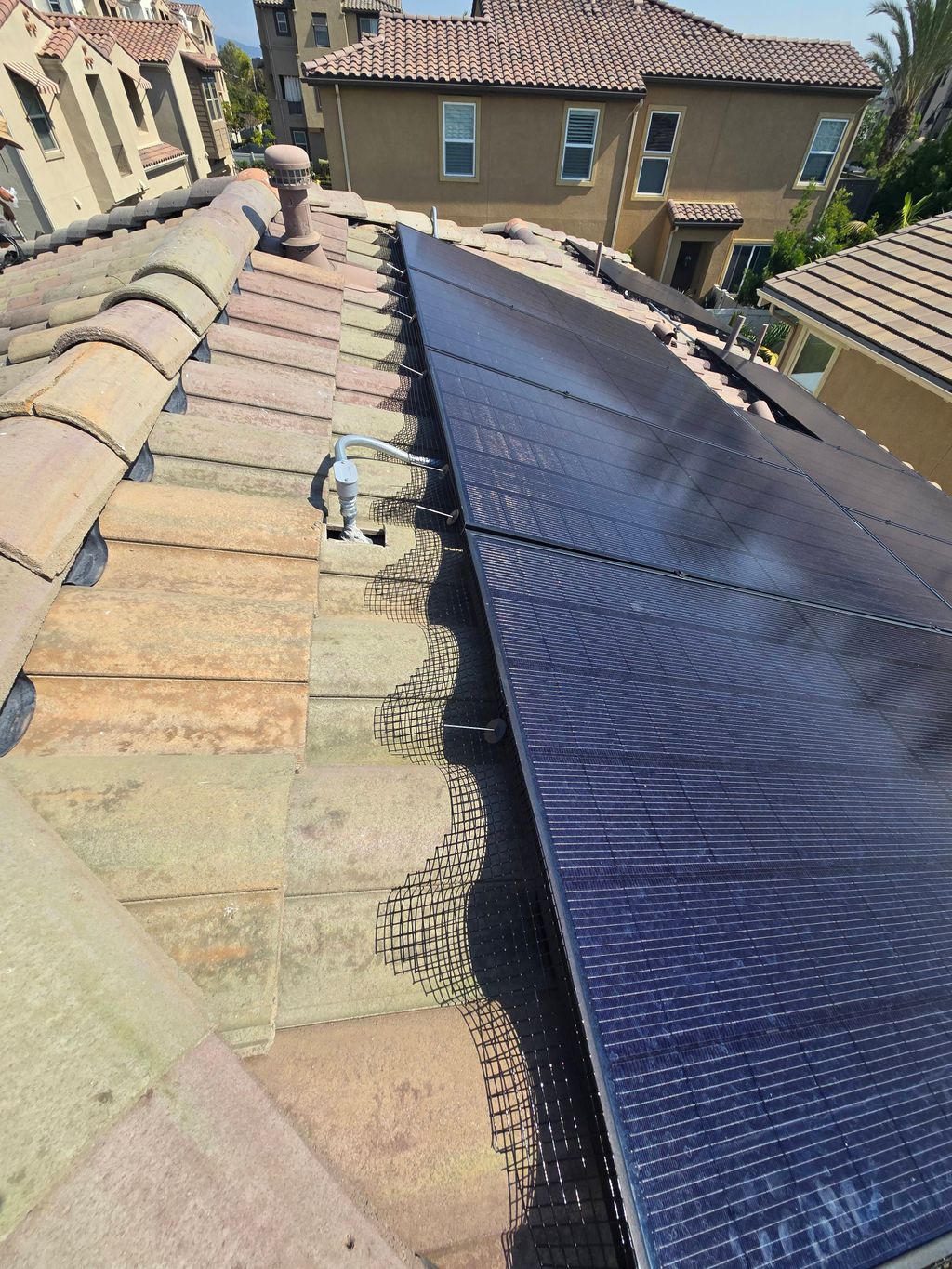 Bird Proofing in Norco, CA