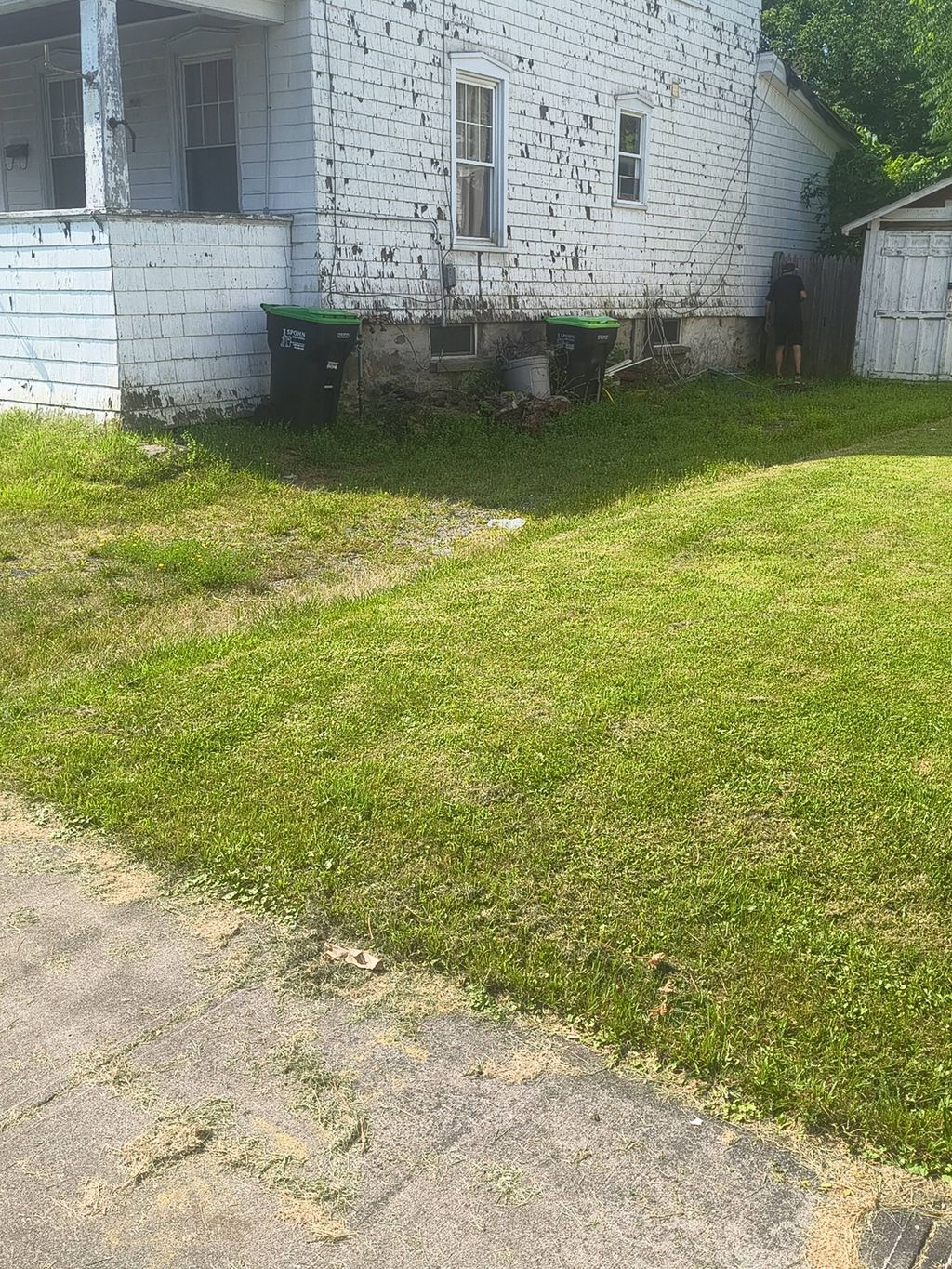 lawn 