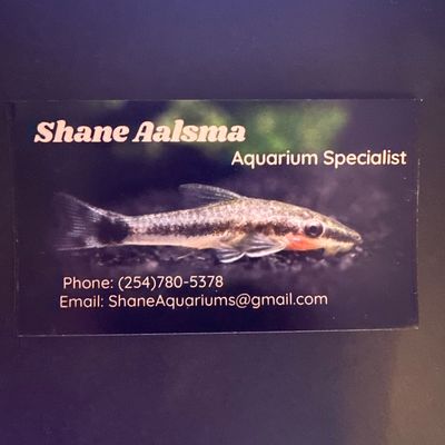 Avatar for Shane’s Aquarium Cleaning Services