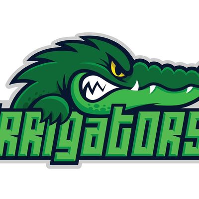 Avatar for Irrigators