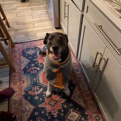 Avatar for Ike’s Hauling