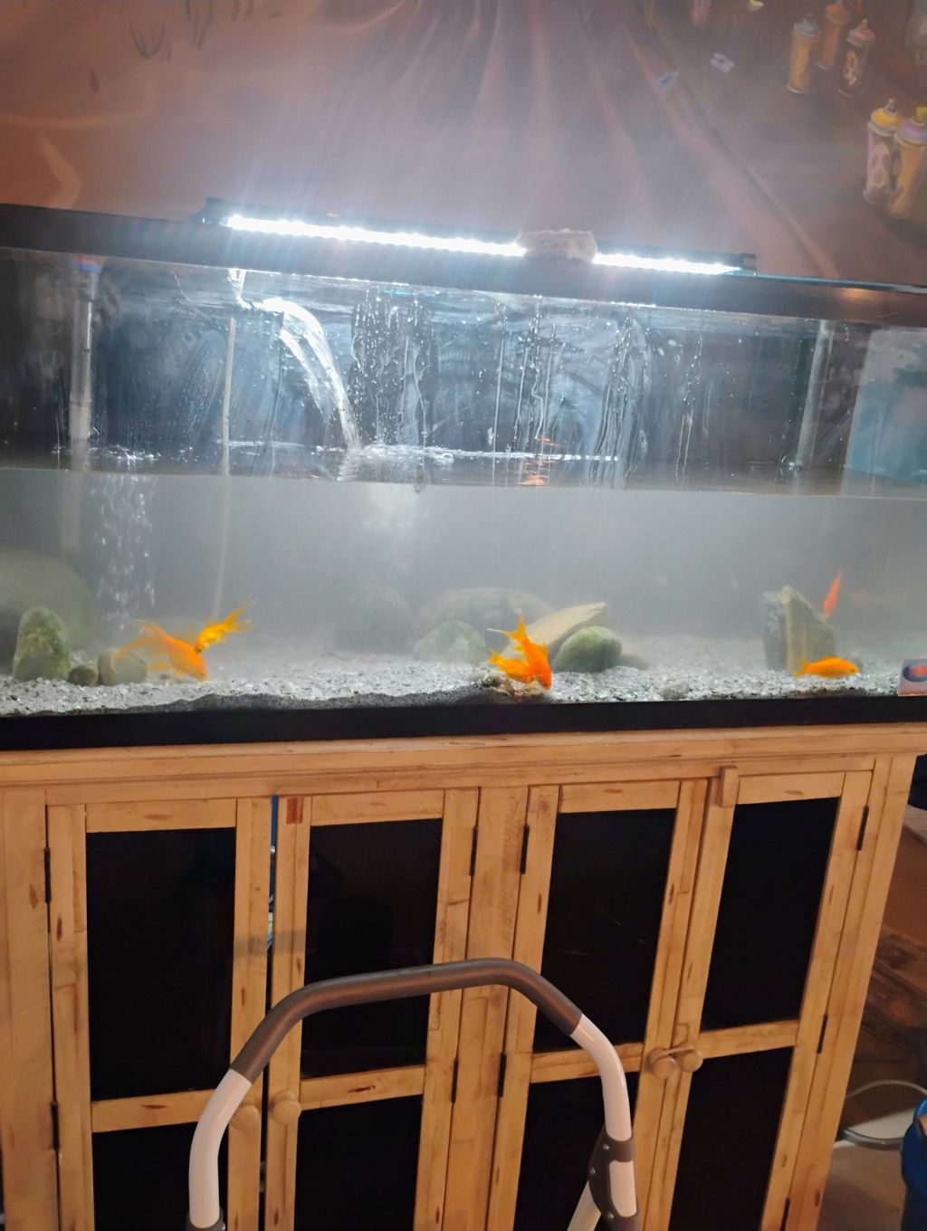 rescaping your aquarium for home centerpiece?..( b